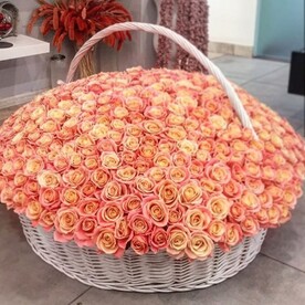 501 роза мисс-пигги в корзине