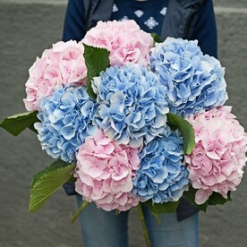 Букет из гортензии