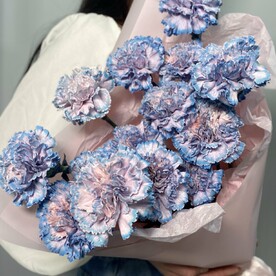 Букет сортовых диантусов