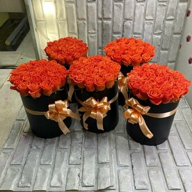 Вау в коробках