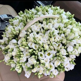 Красота эустом