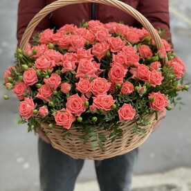 Бомбастик в корзине