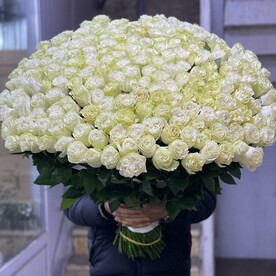 Огромный букет из Эквадорских роз