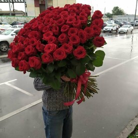 101 из бордовых роз