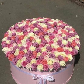 Восхитительная композиция