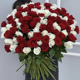 101 роза микс