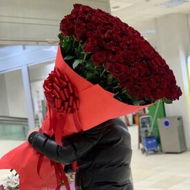 Роза Гигант