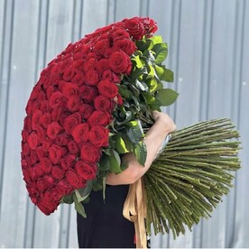 Букет из 301 розы