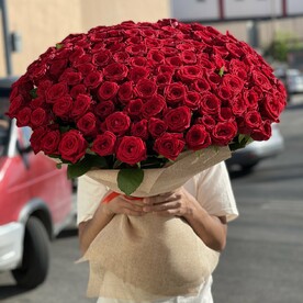 151 роза бордовая