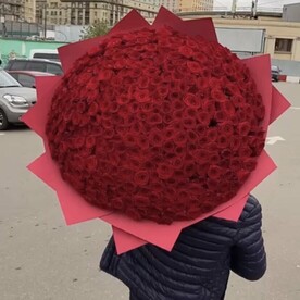 Огромный букет из Бордовых роз