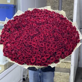 Огромный букет из 501 розы