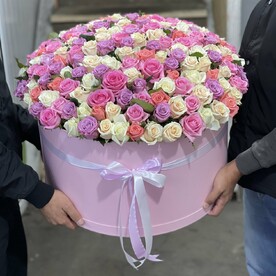 201 разноцветные розы в коробке