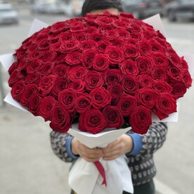 101 бордовая роза