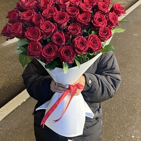 51 бордовая роза