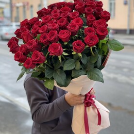 51 шикарная бордовая роза