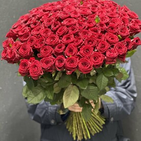 101 Роза бордовая