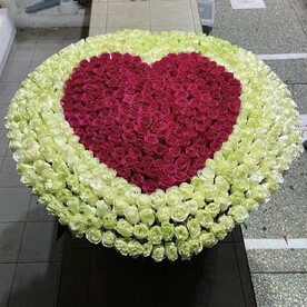 301 роза Эквадора в корзине