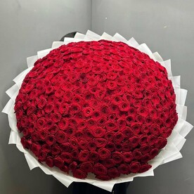 Красные розы