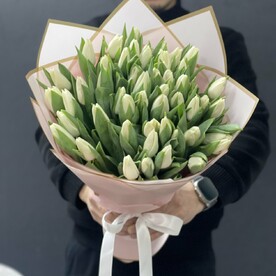 Тюльпан белый