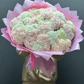 Нежные гортензии