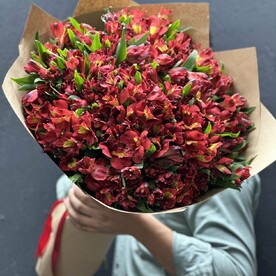 Альстромерия красная