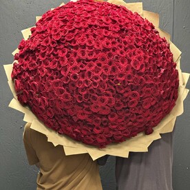 Огромный букет из 501 розы