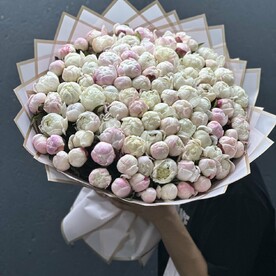 101 из нежных пионов