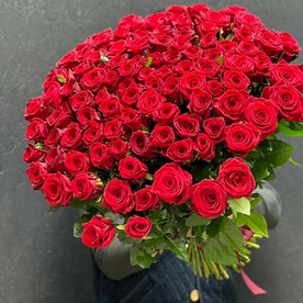 101 Роза бордовая