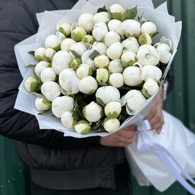 Премиум букет из белых пионов