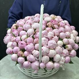 Крупные пионы в корзине