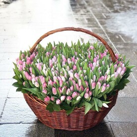 Запах весны