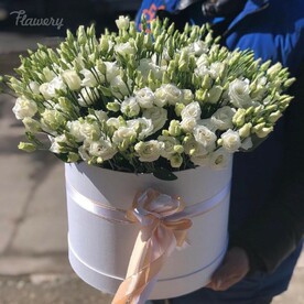 Солнечное утро