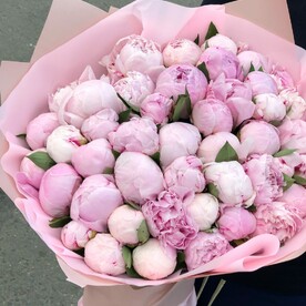 Розовые пионы