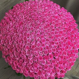 Планета роз