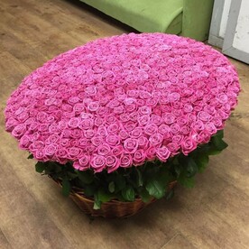 Любовь в Корзине