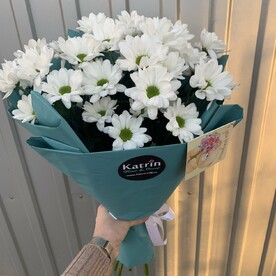 Белые ромашки