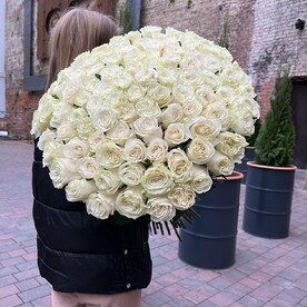 101 роза Мондиаль