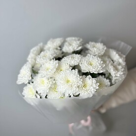 Монобукет из кустовой хризантемы Алтай