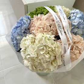 Облако гортензий