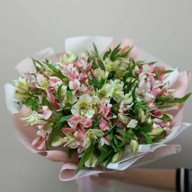 Моно букет 21 альстромерии