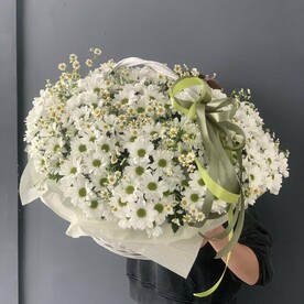 Летняя поляна