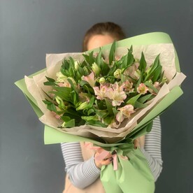 Нежные альстромерии