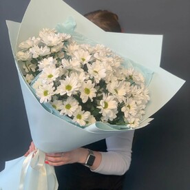 Воздушный гигант