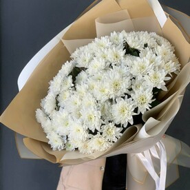 Белые хризантемы