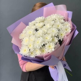 Белые хризантемы