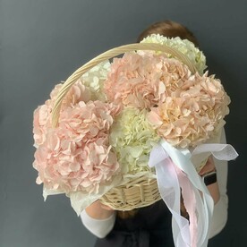 Корзина  гортензий