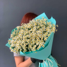 Охапка ромашек