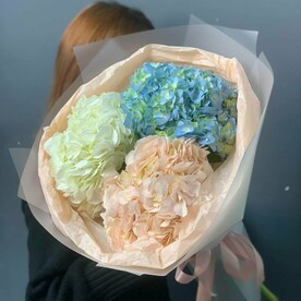 3 гортензии