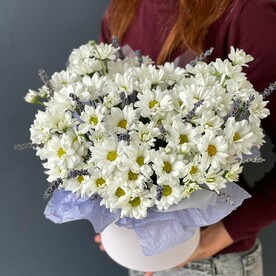 Лавандовое утро