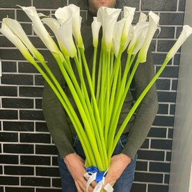 Букет из 25 Калл